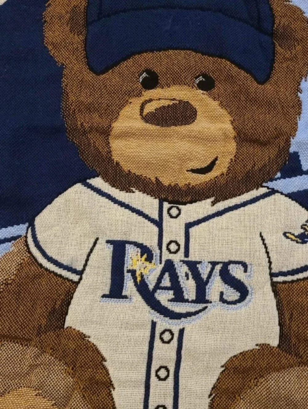 Blanket Tampa Bay Rays Teddy Bear Throw Blanket Navy Light Blue